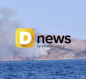 Φωτιά σε εξέλιξη στην Ύδρα (εικόνες)