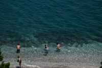 Αυτές είναι οι παραλίες της Αττικής με μωβ μέδουσες, τι κάνουμε σε περίπτωση τσιμπήματος
