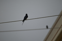 Άνοιξη... τέλος: Καταιγίδες back to back στην Αθήνα