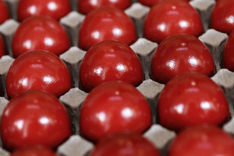 Μεγάλη Πέμπτη: Σήμερα βάφουμε κόκκινα τα αυγά, όλα τα μυστικά για σωστό βράσιμο