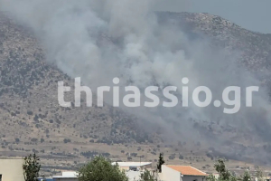 Φωτιά τώρα στον Ασπρόπυργο - 108 πυροσβέστες και 5 ελικόπτερα στην κατάσβεση