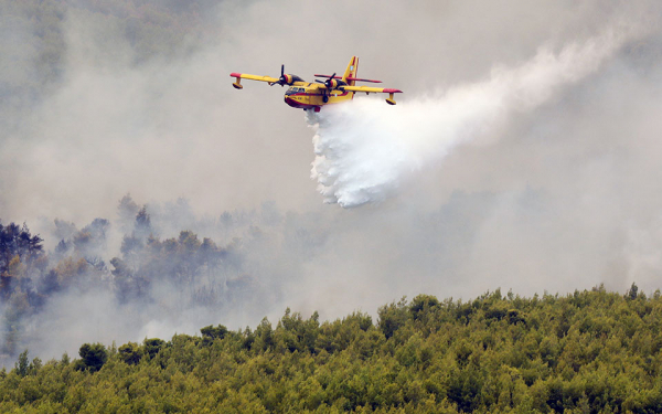 Φωτιά στη Φθιώτιδα: Υπό έλεγχο το πύρινο μέτωπο στο Λογγίτσι, τα 10 πτητικά έκαναν την διαφορά λέει ο αντιπεριφερειάρχης (βίντεο - εικόνες)