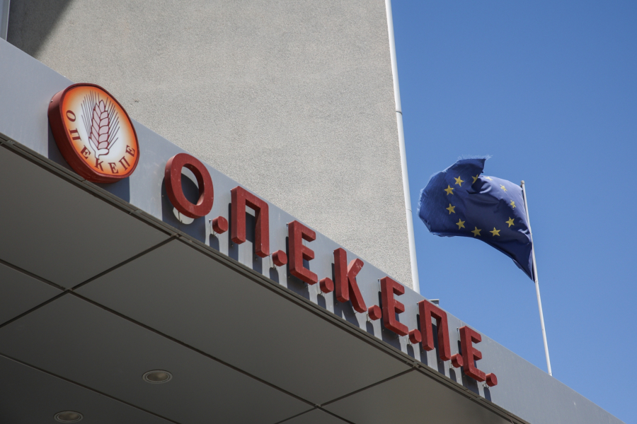 Σεμερτζίδου για ΟΠΕΚΕΠΕ: «Μας έμπλεξαν και γίναμε στόχος από παντού» (Βίντεο)