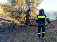 Νέα μεγάλη φωτιά στην Κάρυστο, επιχειρούν και εναέρια μέσα