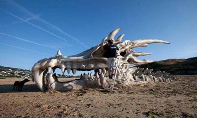 Γιγάντιο κρανίο δράκου σε παραλία της ..........