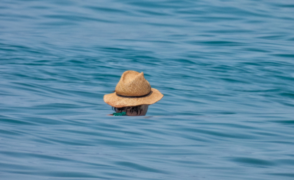 Χρονιά χωρίς καλοκαίρι το 2023 για την Ευρώπη;