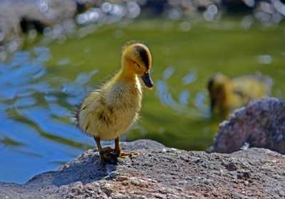 Ο καιρός σήμερα Πέμπτη 9/6