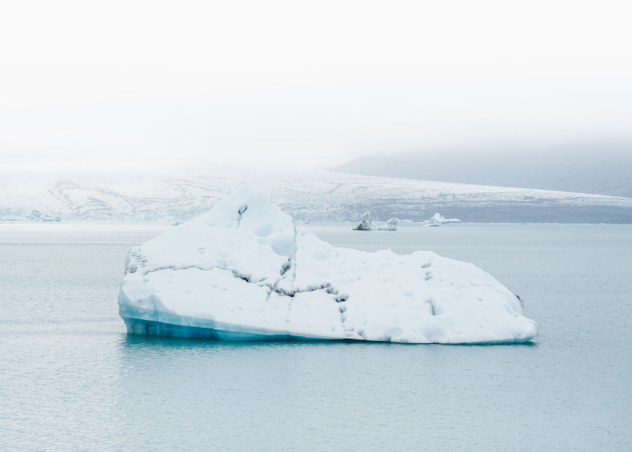 Οι πάγοι της Γροιλανδίας λιώνουν και αντικαθίσταται με βλάστηση