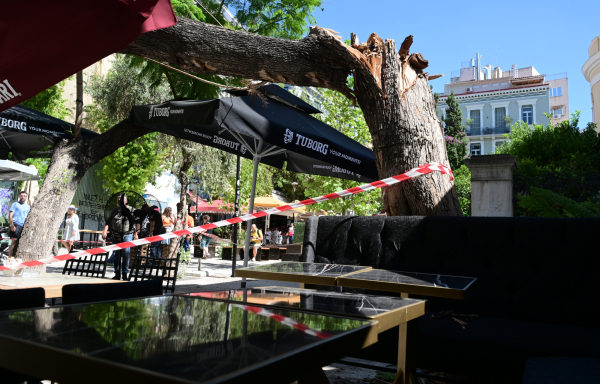 Έπεσε δέντρο στο Μοναστηράκι - Δύο τραυματίες (εικόνες)