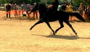 Καλαμάτα: Εγκαίνια δημοτικού Ιππικού Κέντρου Πλατέος και ιππικοί αγώνες