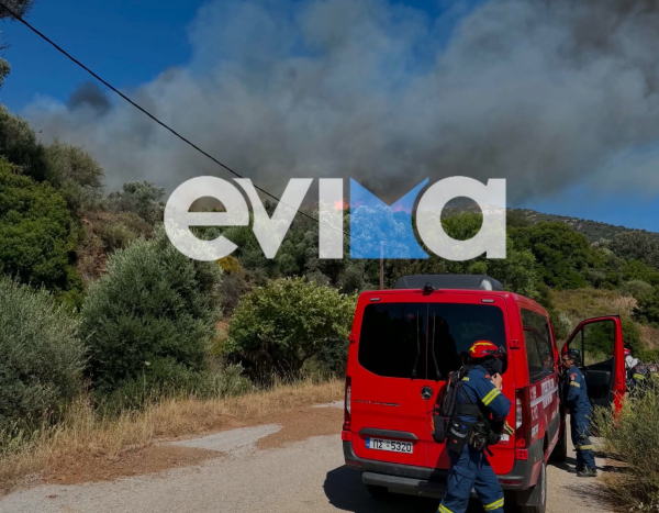 Φωτιά τώρα στην Εύβοια - Ήχησε το 112 (Εικόνες - Βίντεο)