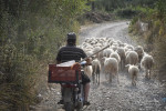 photo: Eurokinissi