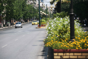 Θεσσαλονίκη: «Φύτευαν» κάνναβη και κοκαΐνη σε εγκαταλελειμμένα κτίρια και... παρτέρια