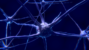 Εγκεφαλικό εμφύτευμα με 4.096 ηλεκτρόδια τοποθέτησε επιτυχώς η ανταγωνίστρια της Neuralink