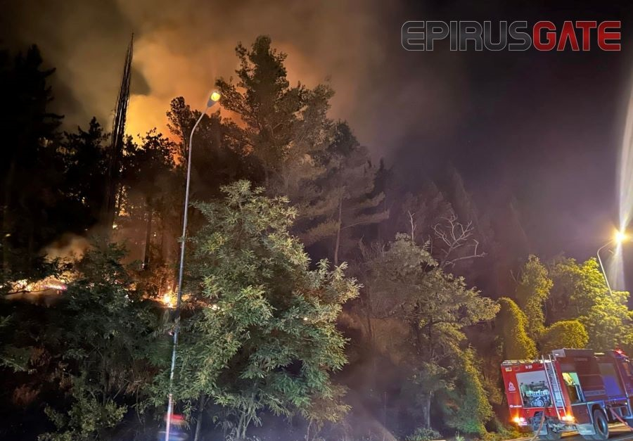 Φωτιά στους Λιγκιάδες Ιωαννίνων