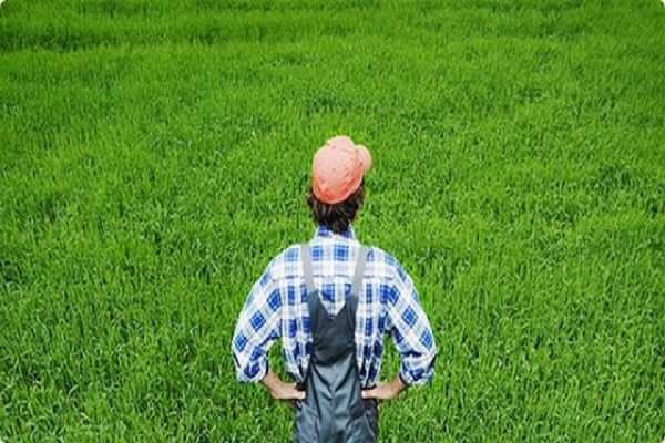 «Ραντεβού» στο ταμείο την 1η Νοεμβρίου - Πληρώνει ο ΟΠΕΚΕΠΕ