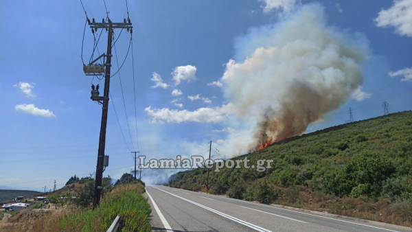Φωτιά στην Καμηλόβρυση Φθιώτιδας - Ήχησε το 112