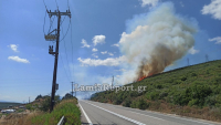 Φωτιά στην Καμηλόβρυση Φθιώτιδας - Ήχησε το 112