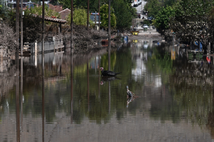Πυροσβεστική για κακοκαιρία Daniel: Πάνω από 4.500 διασώσεις και 12.000 κλήσεις για άντληση υδάτων