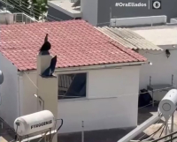 Περιστέρι: Σε αυτό το δώμα, μέσα σε ακαθαρσίες έμεναν τα 6 παιδιά - Είχαν γίνει καταγγελίες