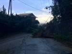 Κέρκυρα: Πλημμύρες και πτώσεις δέντρων λόγω ισχυρών ανέμων
