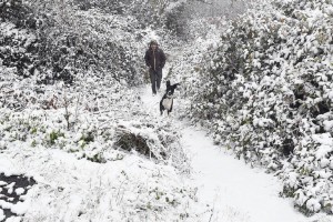 ΕΜΥ: Νέο έκτακτο δελτίο επιδείνωσης με πολικό ψύχος και σφοδρές χιονοπτώσεις