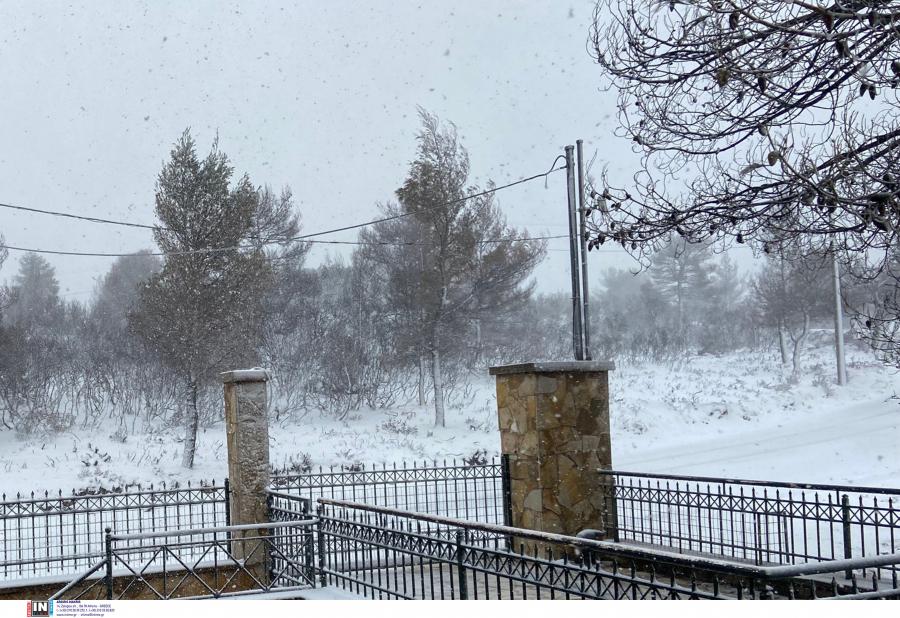 Κακοκαιρία Μπιάνκα: Βροχές, καταιγίδες και χιόνια σε χαμηλό υψόμετρο, επιδείνωση από το απόγευμα