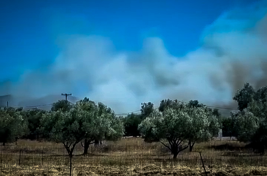 Χωρίς ενεργά μέτωπα η φωτιά στο Αλιβέρι Εύβοιας