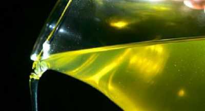 Συγκομιδή ελιών για τη διανομή λαδιού σε άπορες οικογένειες στην Γλυφάδα