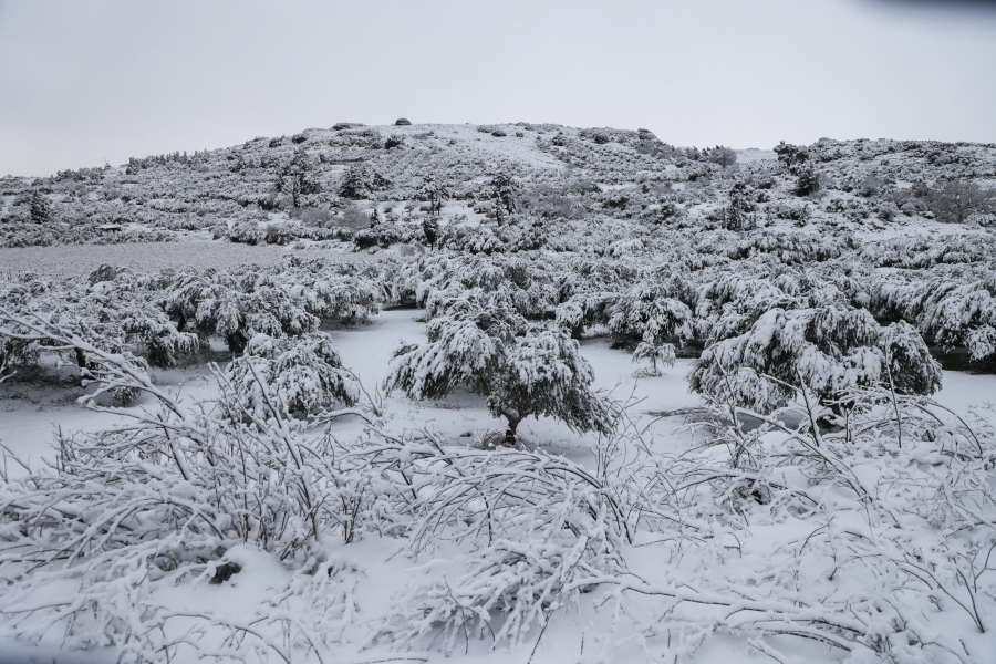 ΣΤΕΦΑΝΟΣ ΡΑΠΑΝΗΣ/EUROKINISSI
