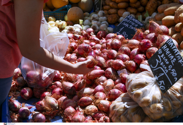 Αφορολόγητο πετρέλαιο και ειδική αγροτική ενίσχυση ζητούν με επιστολή τους οι παραγωγοί των λαϊκών αγορών