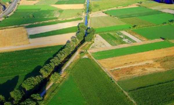 Νέος Κανονισμός Άρδευσης του Κωπαϊδικού Πεδίου από την Περιφέρεια Στερεάς Ελλάδας