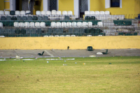 Οπαδική βία: Τα νέα μέτρα και ο «πονοκέφαλος» για τη φύλαξη των γηπέδων