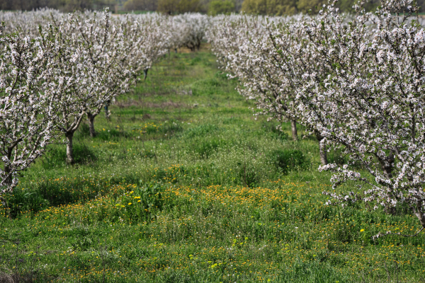 Ο «αμαρτωλός» ΟΠΕΚΕΠΕ πληρώνει την Παρασκευή 30 Μαΐου