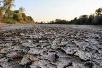 «Στερεύει» ο Πηνειός: Η γη διψά - Σε απόγνωση οι αγρότες για τις καλλιέργειες
