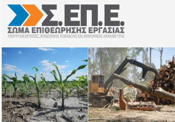 Παράταση για τους κωδικούς εργοδοτών στο sepenet