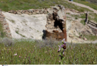 ΑΣΕΠ 3ΓΒ/2023: Τα προσωρινά αποτελέσματα για 187 προσλήψεις δασολόγων