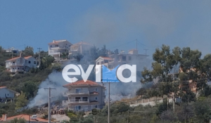 Τέθηκε υπό έλεγχο η φωτιά στην Εύβοια (Εικόνες - Βίντεο)