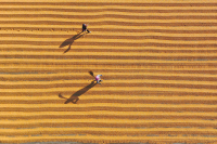 Αποκάλυψη Guardian: H EE έδωσε «γενναίες» αγροτικές επιδοτήσεις σε δισεκατομμυριούχους