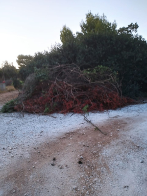 Μπαρουταποθήκες τα ακαθάριστα οικόπεδα: Πινγκ πονγκ ευθυνών Δήμων, Δασαρχείων και κατοίκων