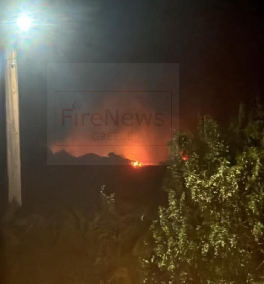 Οριοθετήθηκε η φωτιά στην Οινόη