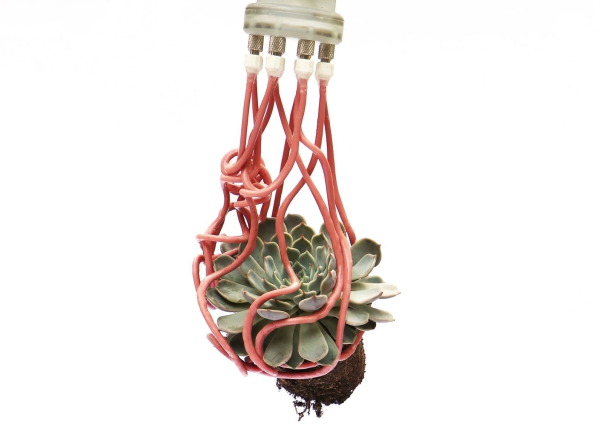 Ρομποτική λαβή που μοιάζει με πλοκάμι μπορεί να πιάνει εύθραυστα αντικείμενα