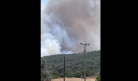 Φωτιά τώρα στον Μαραθώνα, σηκώθηκαν εναέρια - Εστάλησαν μηνύματα από το 112