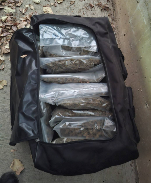 Πάνω από 350 κιλά κάνναβης κατασχέθηκαν στο Λιμάνι Ηγουμενίτσας - Συνελήφθη ένας 58χρονος