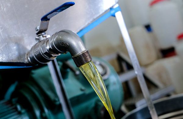 Sheikh Tahnoon’s Olive Oil Bet in Greece Faces Mounting Losses