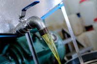 Sheikh Tahnoon’s Olive Oil Bet in Greece Faces Mounting Losses
