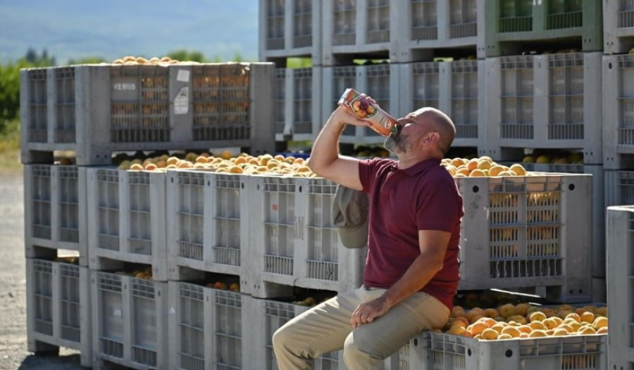 Όλη η «διαδρομή» του αγαπημένου μας χυμού, από το χωράφι μέχρι το ποτήρι μας