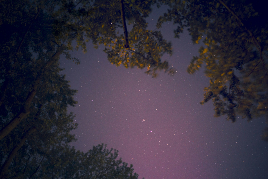 Λυρίδες: Πότε θα «βρέξει» ο ουρανός πεφταστέρια τον Απρίλη