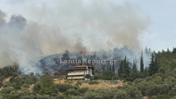 Φωτιά τώρα στην Πελασγία Φθιώτιδας - Επιχειρούν 5 εναέρια μέσα