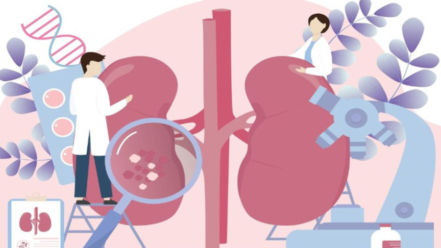 Πέτρες στα νεφρά: Οι νέες ελάχιστα επεμβατικές λύσεις